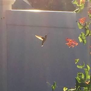 Meet your Posher, Janet